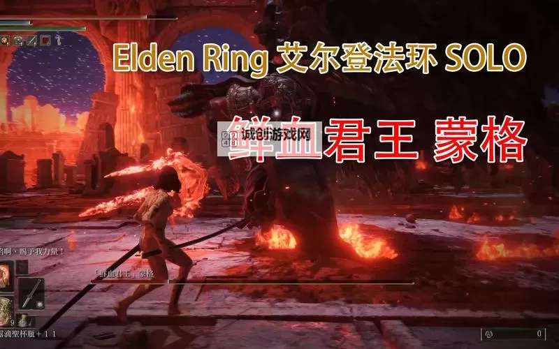 《艾尔登法环》大盾切腹魔剑士build分享图1