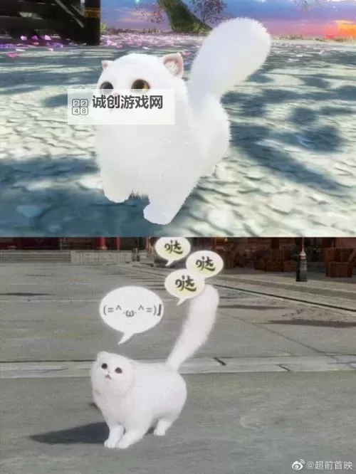 精彩不断：哒哒哒高清免费视频带你领略极致视觉盛宴图1