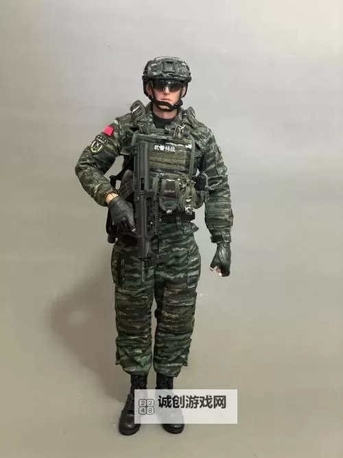 中国CHINAGARY武警网站：全面展示武警部队风采与使命图1