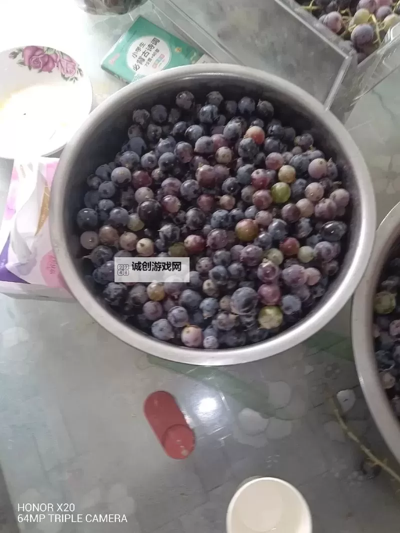 极简教程:自制葡萄酒视频全攻略,轻松在家自酿美味图1