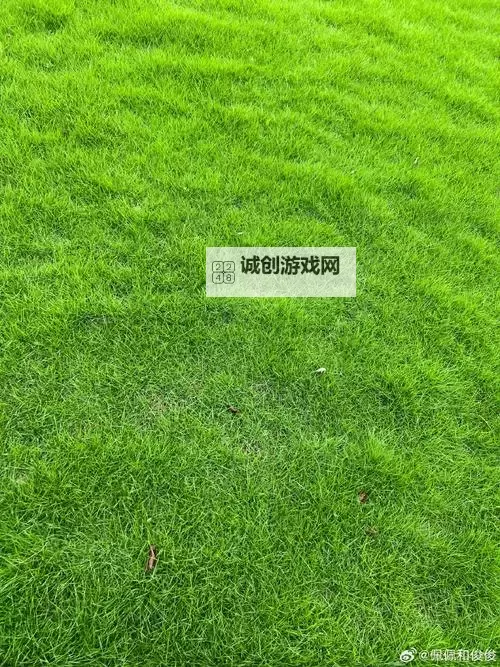 青草视频国产：探寻本土原创的精彩影片世界图1