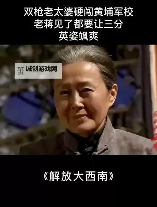 免费在线观看老太婆插曲高清版，精彩瞬间尽享视觉盛宴图1