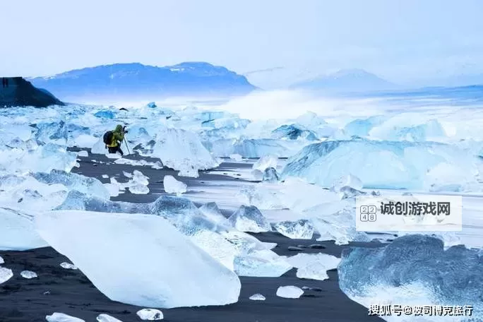 最新欧洲VODAFONEWIFIAPP带你探索仙踪林的神秘奇境图1