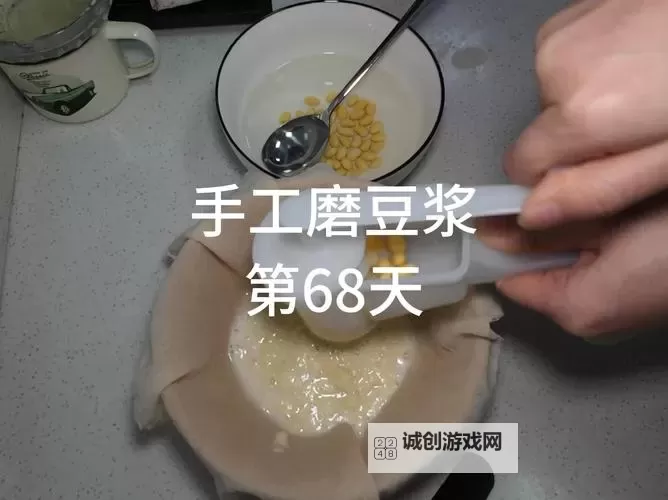 折腾了一个多小时才弄出来的豆浆,真是费尽心思的美味体验图1