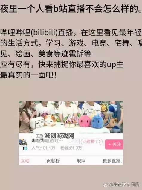 夜深人静时，适合晚上一个人看b站免费在线看的最佳内容推荐图1