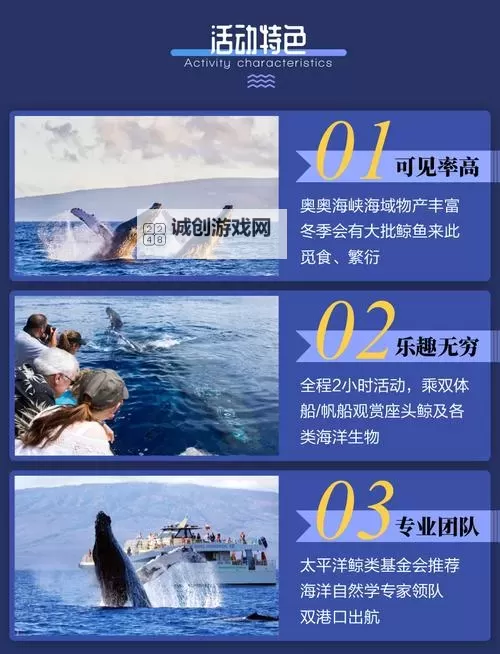 怎么双开巨大鲸？ 巨大鲸双开挂机图文全攻略图2