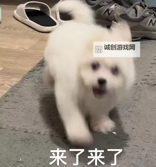 俺来了，我也去了：一次充满感悟的旅行经历图1