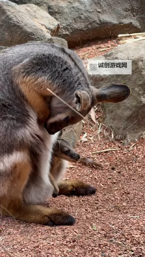 AZRAEL怎么双开  AZRAEL双开挂机软件推荐图1