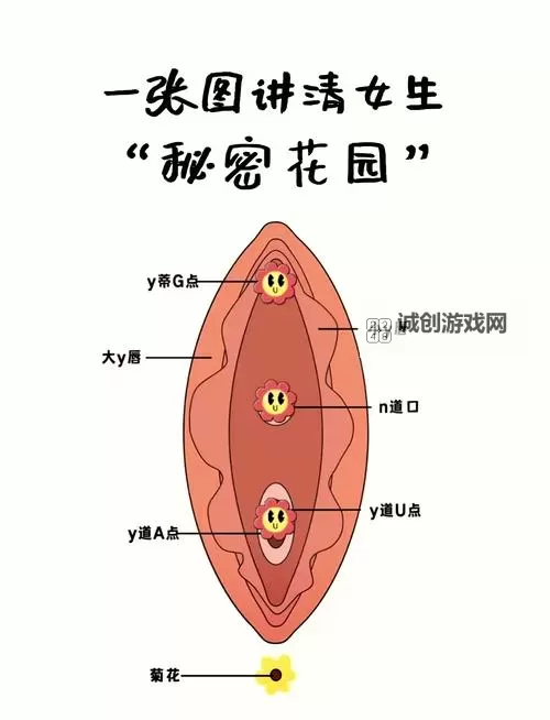 怎么玩隐私位置:确保安全又有趣的秘密地图玩法指南图2