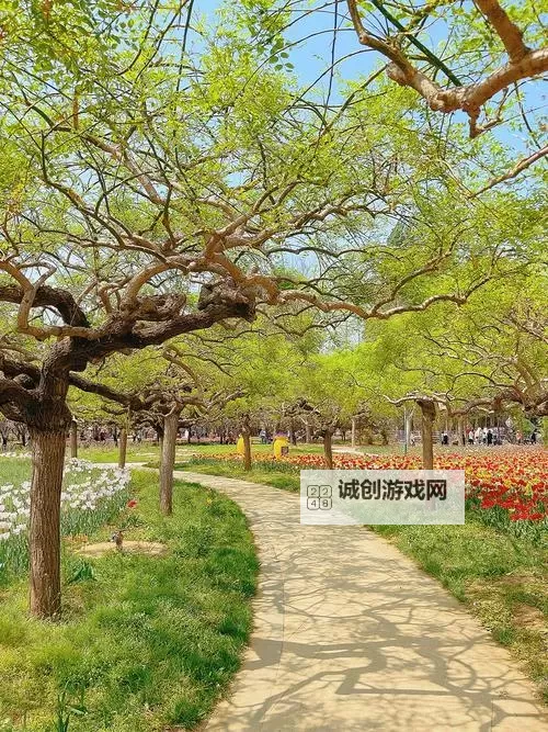 探索中国国产免费毛卡片：优惠多多，福利不断图1