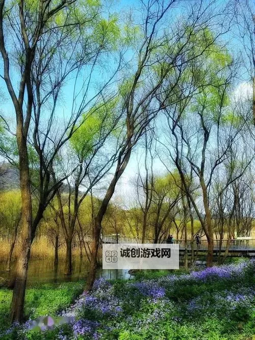 《炉石传说》中速元素法卡组分享图1