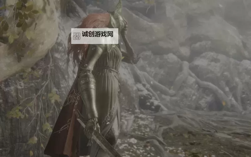 《艾尔登法环》血指杀手哪里找图1