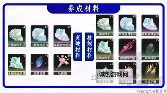 《鸣潮》洛可可养成攻略 洛可可怎么培养图1