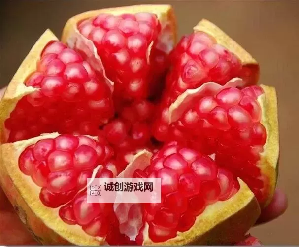 玉杵入牦户:天下一奇吃桔带皮的奇特风味图1