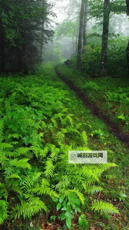 国产1024手机基地在线：打造高品质手机体验的新选择图1