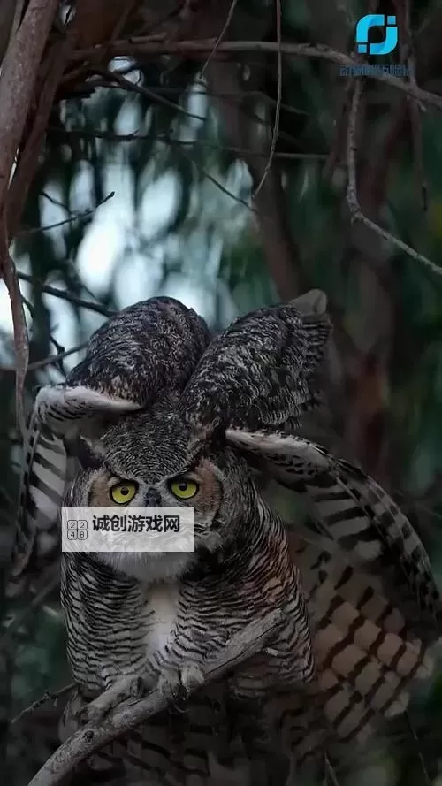 精品推荐:精产国品一二三区无码,全方位呈现优质内容图1