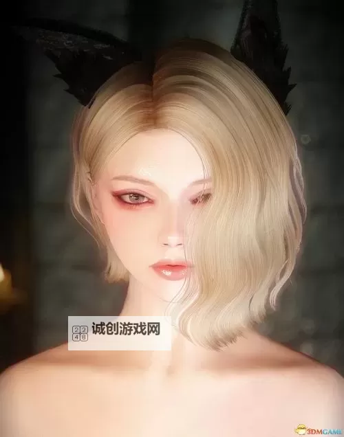 《上古卷轴5》日系美女声音MOD及使用方法 上古卷轴5美女声音MOD怎么用图1