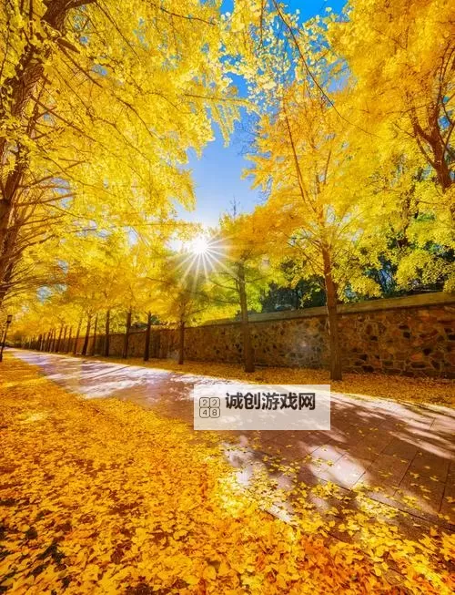 高清在线观看：中文字幕乱码在线人视频完整解析与观看指南图2