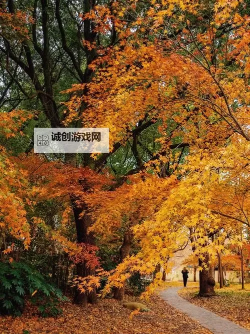 高清在线观看：中文字幕乱码在线人视频完整解析与观看指南图1