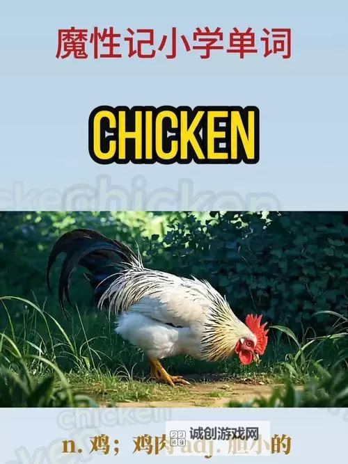 奇趣故事:我竟然坐在学霸的鸡上背单词的奇妙体验图2