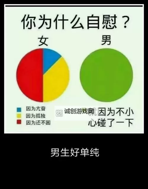 怎么自己自W视频教程：详细步骤与实用技巧分享图2
