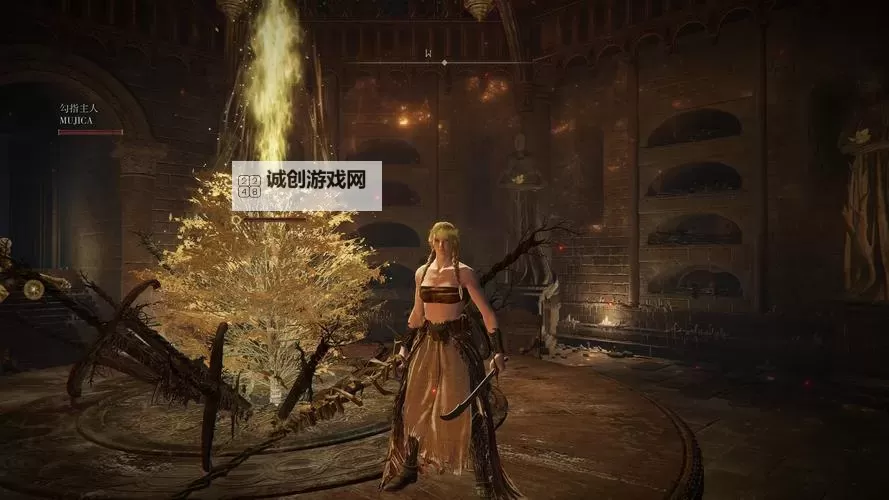 《艾尔登法环》女角色穿搭推荐图1