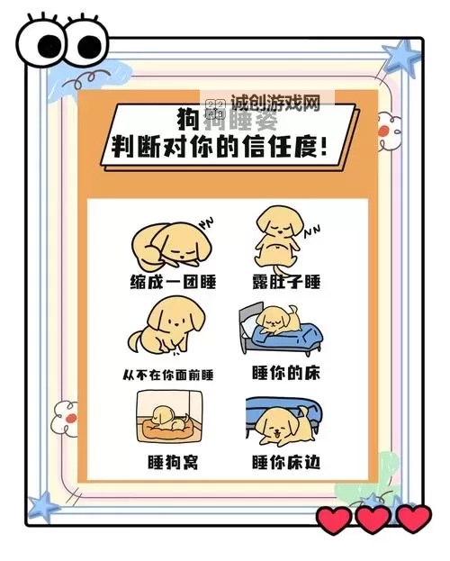 怎么让狗狗进入自己的房间不再难：有效方法大揭秘图2