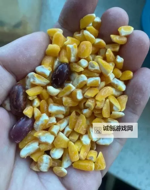 怎么揉小豆水最多:详细技巧与操作指南图2