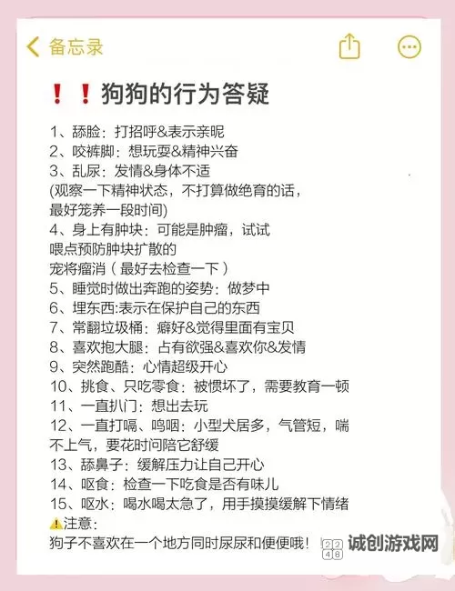 怎么让狗狗进入自己的房间不再难：有效方法大揭秘图1