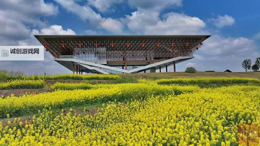 畅享欢乐时光：成都免费视频在线观看的最佳推荐指南图1