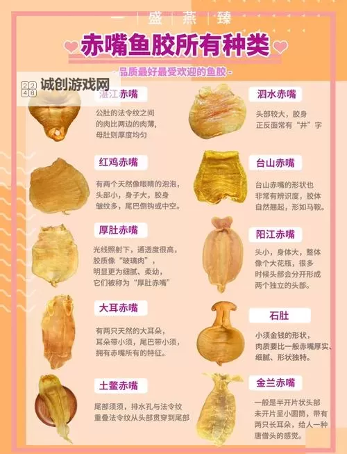 动物胶配方大全高清兽胶:全面揭秘制作工艺与配比指南图1