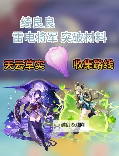《原神》天云草实采集攻略 雷电将军突破材料采集攻略图1