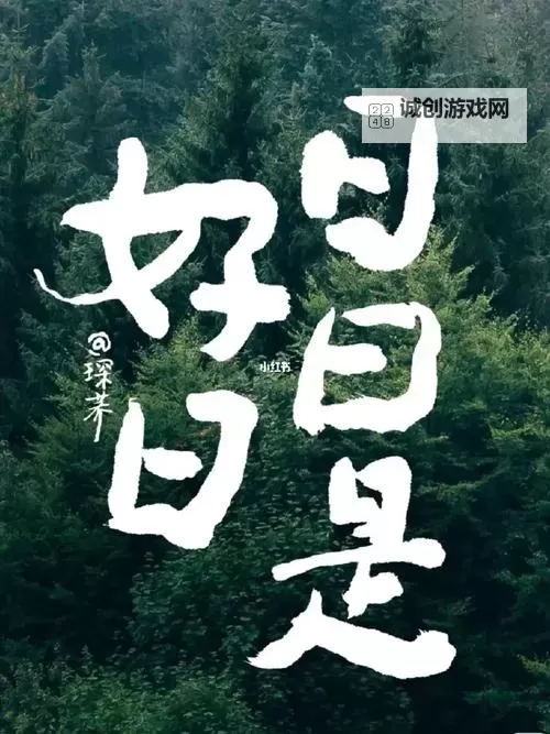 探索“天天天日日日”的生活哲学与心灵追寻图1