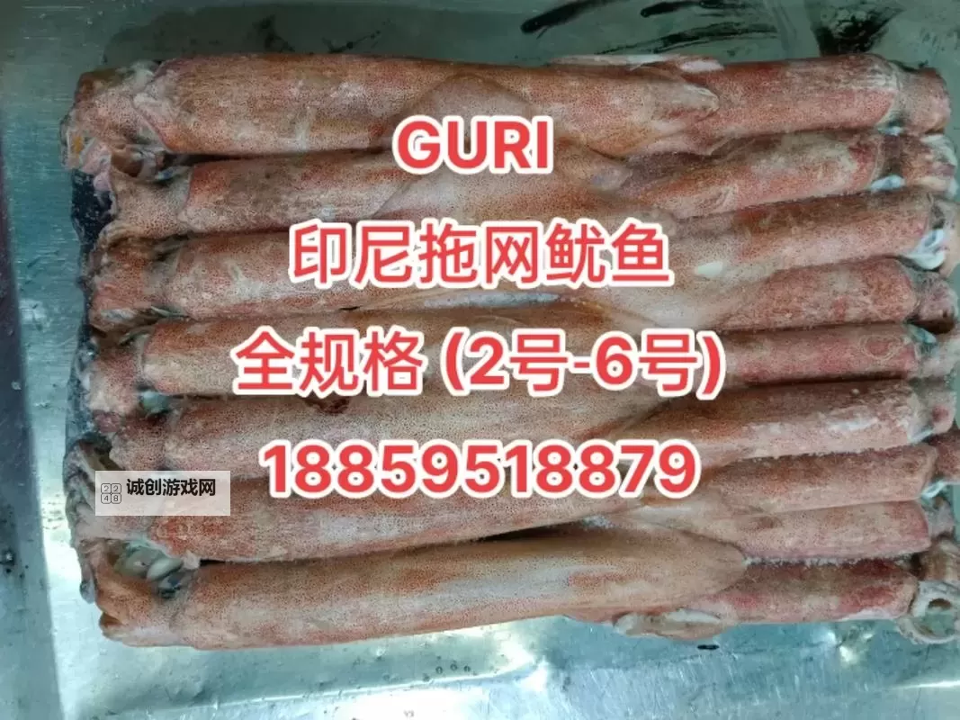 探索最新潮流!鱿鱼网BY66626带你领略海洋的魅力图1