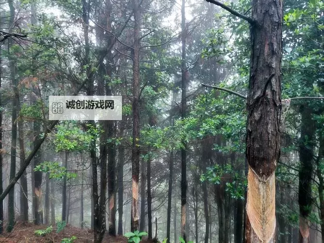 米亚大陆双开挂机软件推荐 怎么双开米亚大陆详细图文教程图2