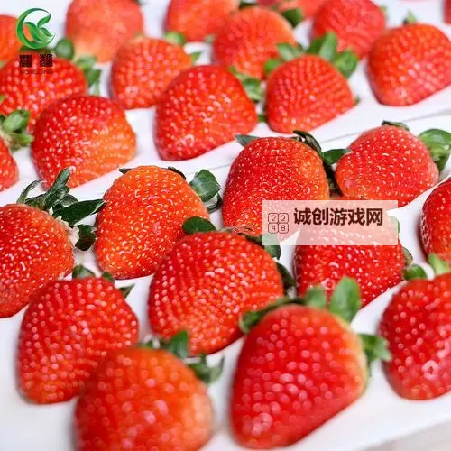 免费在线观看草莓av无码在线观看,尽享精彩剧情图1