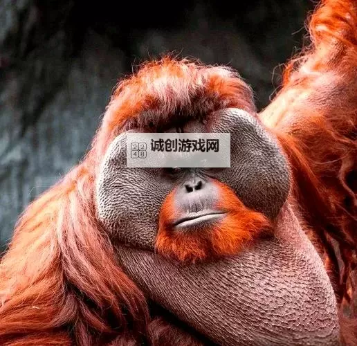 逆天战神怎么双开 逆天战神双开挂机软件推荐图1