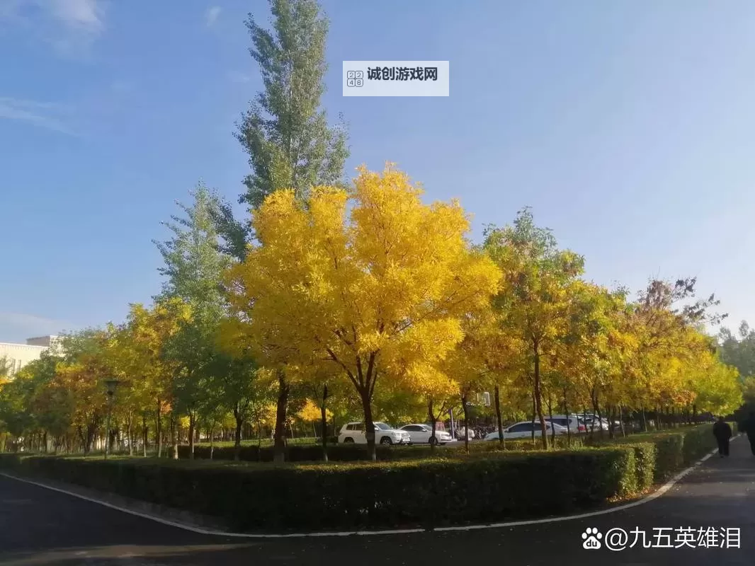 探秘“日日草夜夜干”：自然与生命的韵律之美图1