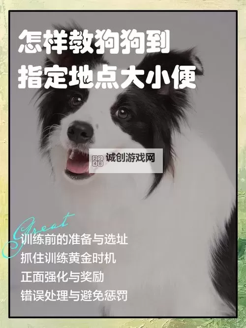 怎样让狗狗进入更方便的方法指南图2