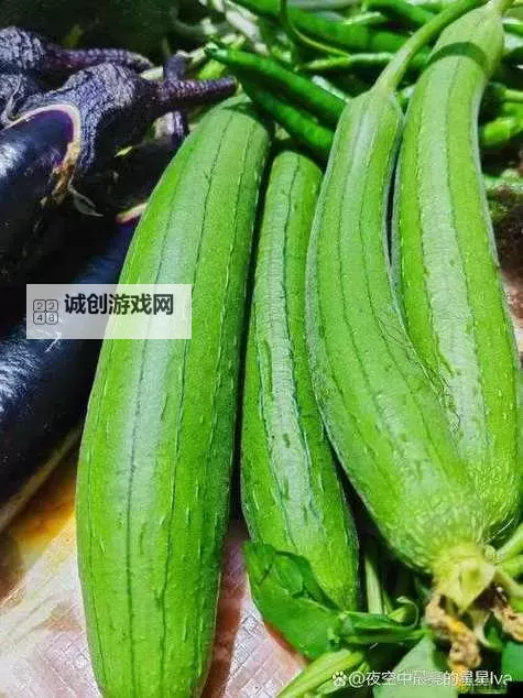 探索草莓丝瓜榴莲秋葵污无限看特色:多元鲜味的极致体验图1