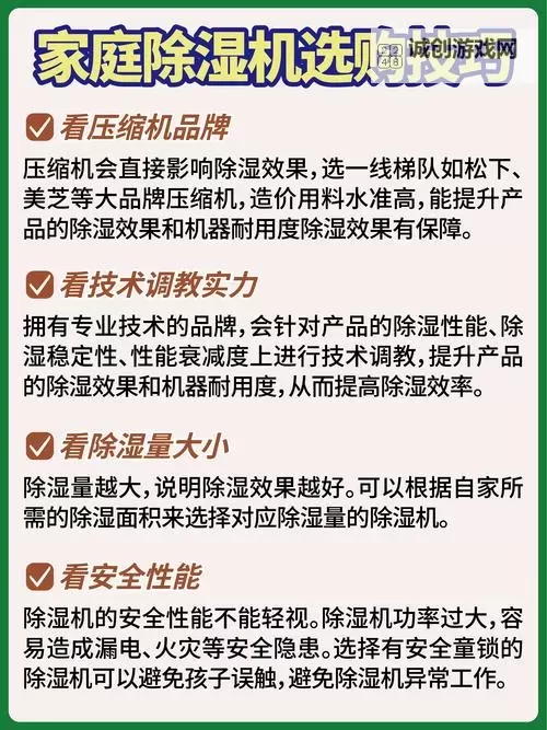 探索精彩无限：畅享欢乐的老湿机体验区旅程图1