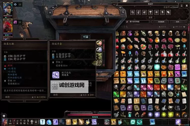 《神界原罪2》背包整理技巧分享图2