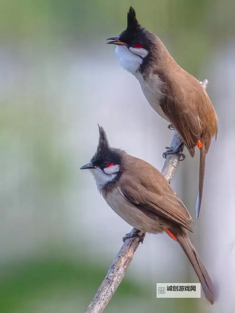 刺沙双开神器 轻松一键搞定刺沙挂机双开图1