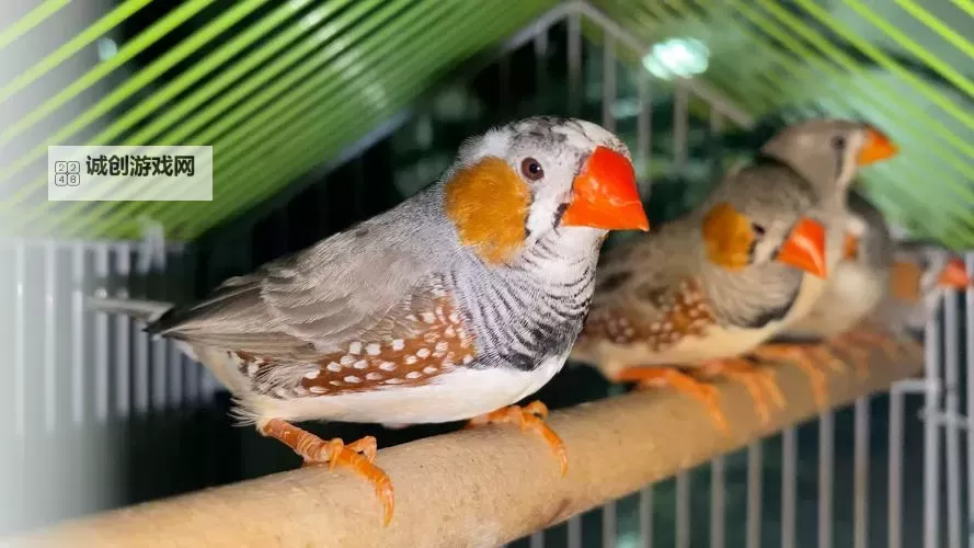 刺沙双开神器 轻松一键搞定刺沙挂机双开图2