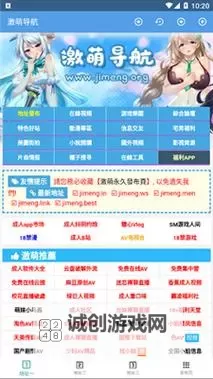 关于www.色导航.com的全面介绍与访问指南图1