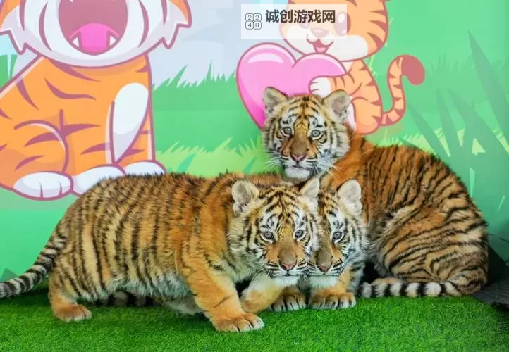 最新免费在线观看不卡一区二区三区，畅享高清影视新体验图1