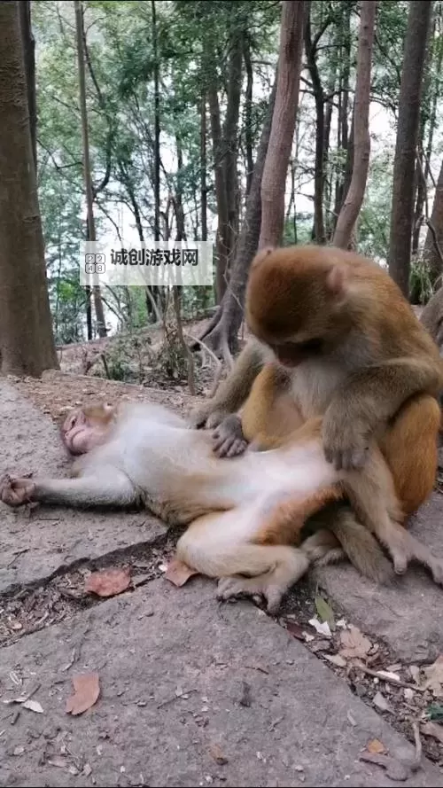 男生女生一起生候子在线观看:感受纯真友情的温馨时刻图1