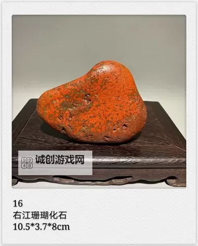 久久国内精品一品二品三品:全方位优质体验尽在其中图1