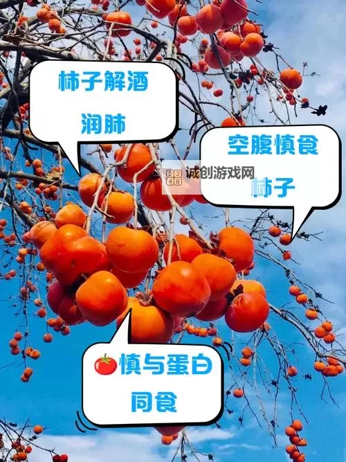 《只狼》干柿子、鲜柿子获取方法说明 怎么获得干柿子图1