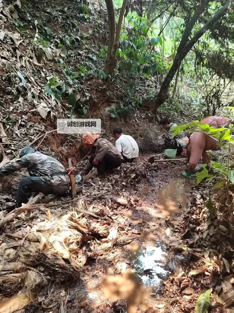 探秘Chinese农村野外的自然风光与乡村生活图1